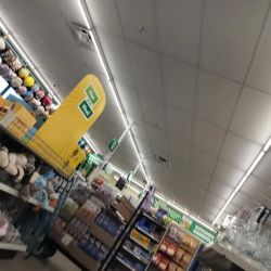 Dollar Tree ico