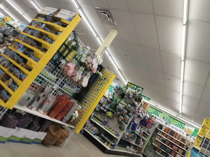 Dollar Tree 3