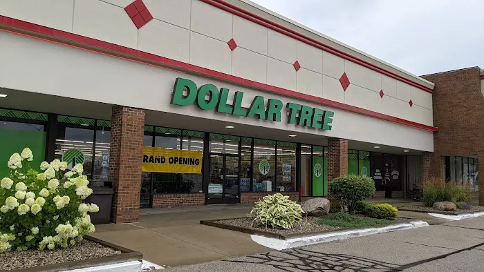 Dollar Tree 1