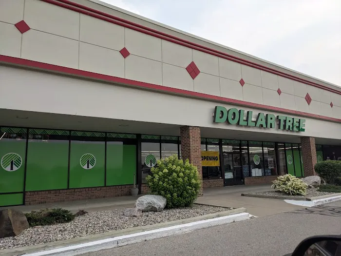 Dollar Tree 5