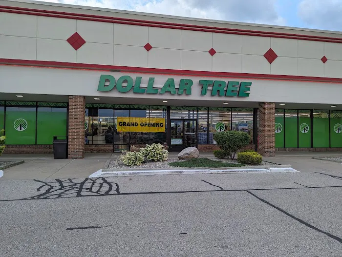 Dollar Tree 8