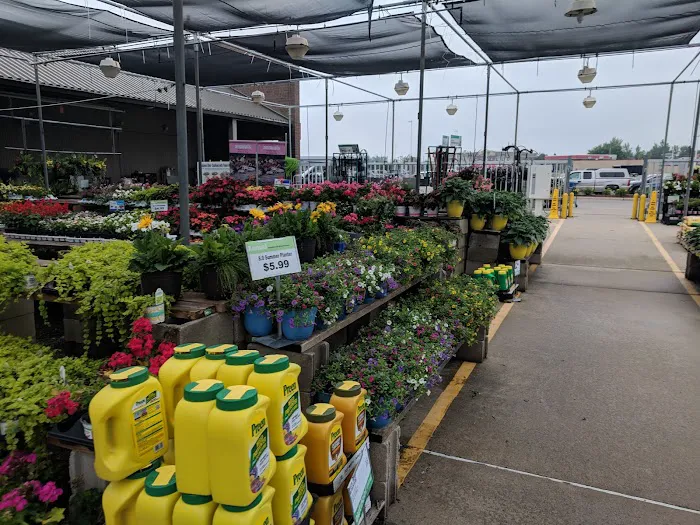 Meijer 7