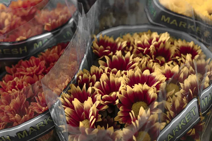 Keits Flower Shop of Bay City 6