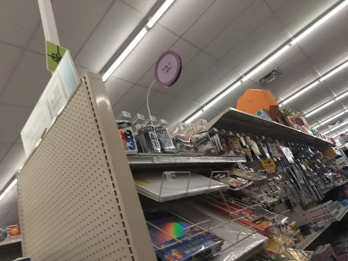 CVS 5