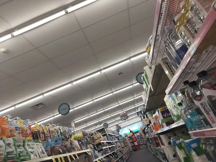 CVS 6