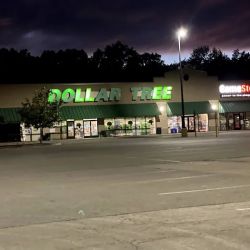Dollar Tree ico