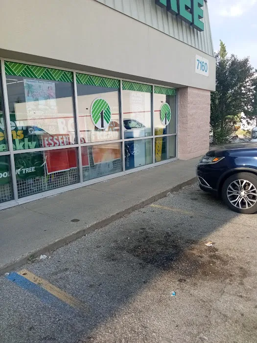 Dollar Tree 6