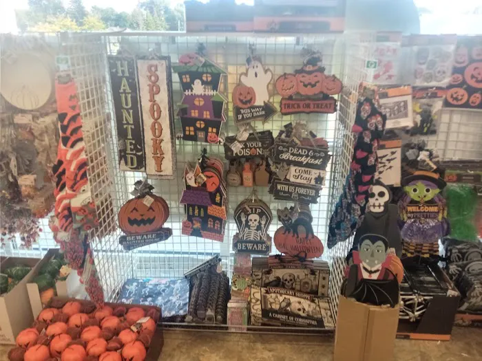 Dollar Tree 1