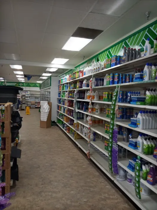 Dollar Tree 2