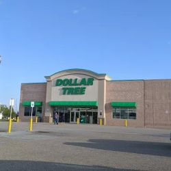 Dollar Tree ico