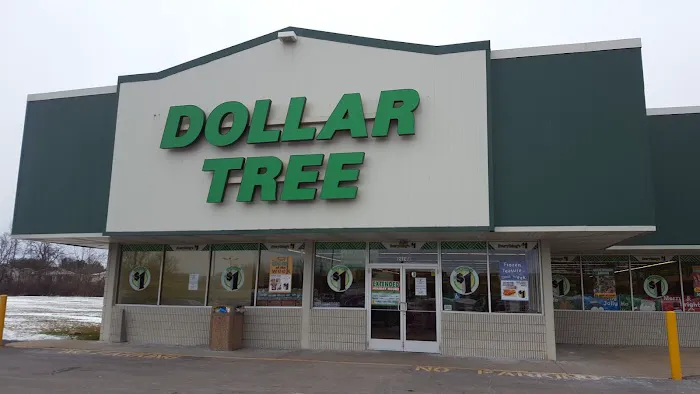 Dollar Tree 4