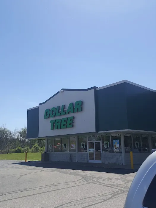 Dollar Tree 8