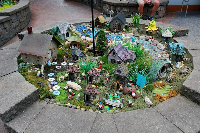Enchanted Forest 4