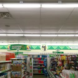 Dollar Tree ico