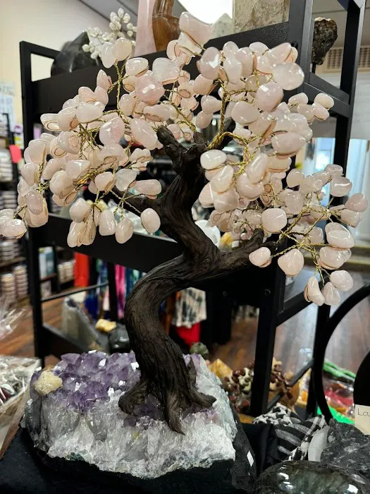 Essential Necessities LLC & The Rock Shop 1