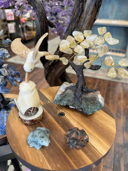 Essential Necessities LLC & The Rock Shop 3