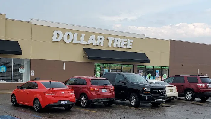 Dollar Tree 6
