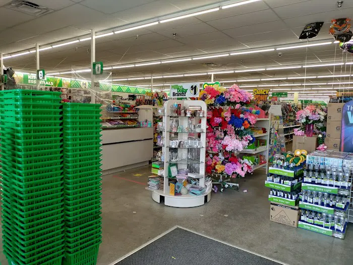Dollar Tree 7