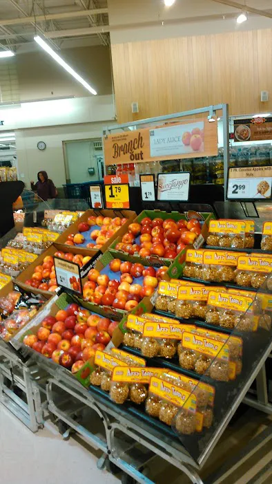 Meijer 1