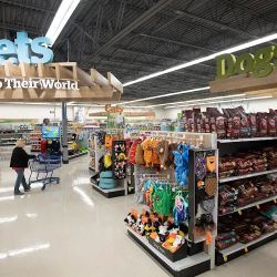 Meijer ico