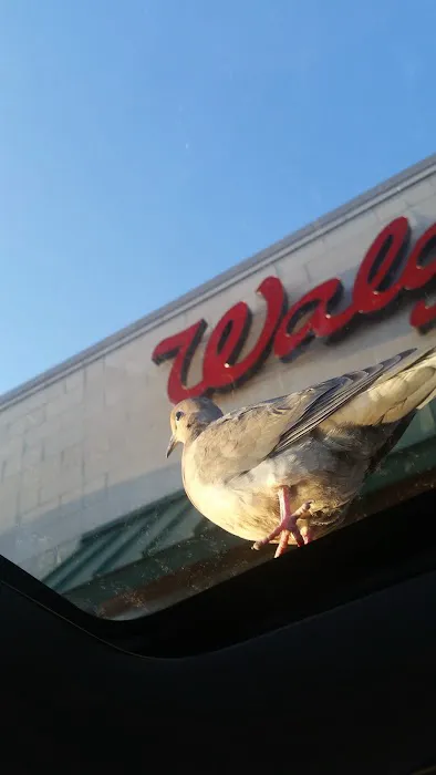 Walgreens 6