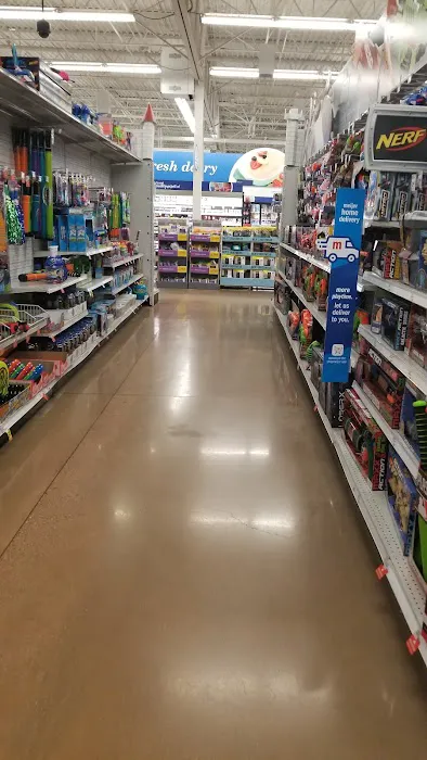 Meijer 2