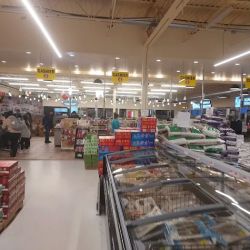 Global Market and Food Hall ico