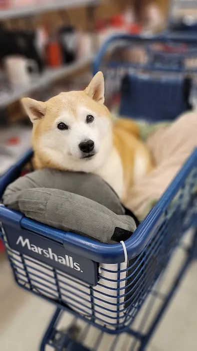 Marshalls 3