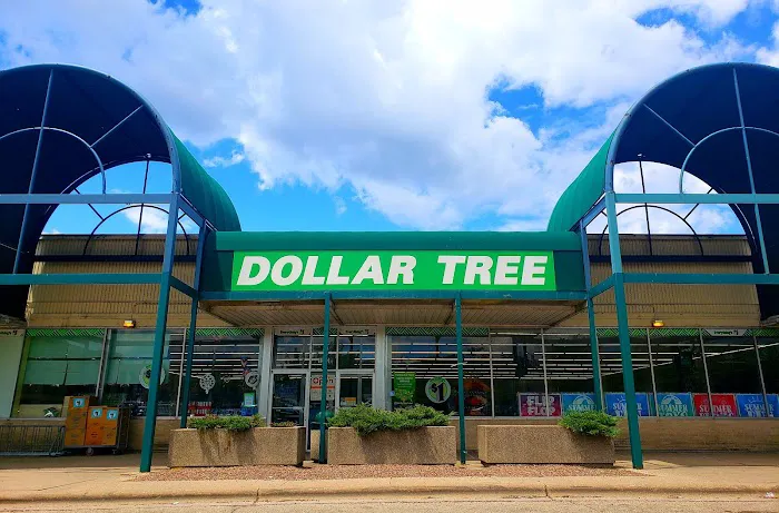 Dollar Tree 5