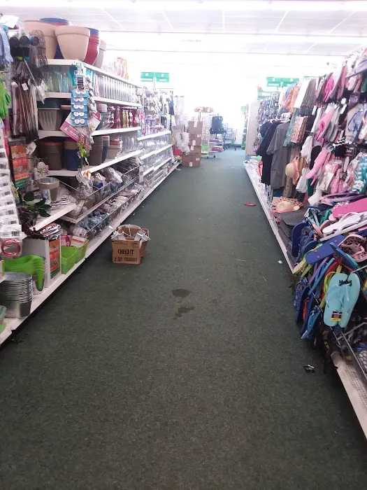 Dollar Tree 4