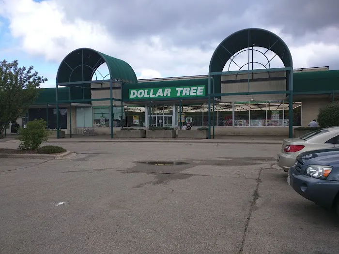 Dollar Tree 7