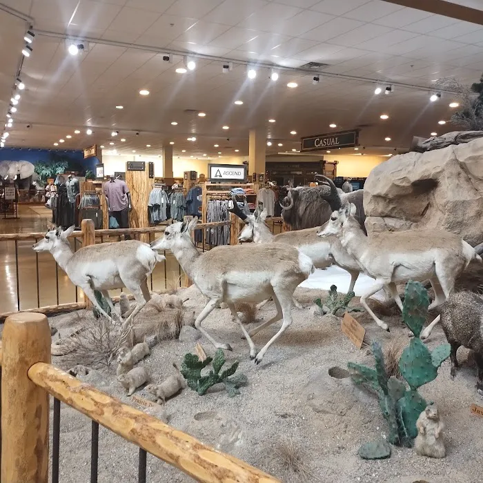 Bass Pro Shops 7