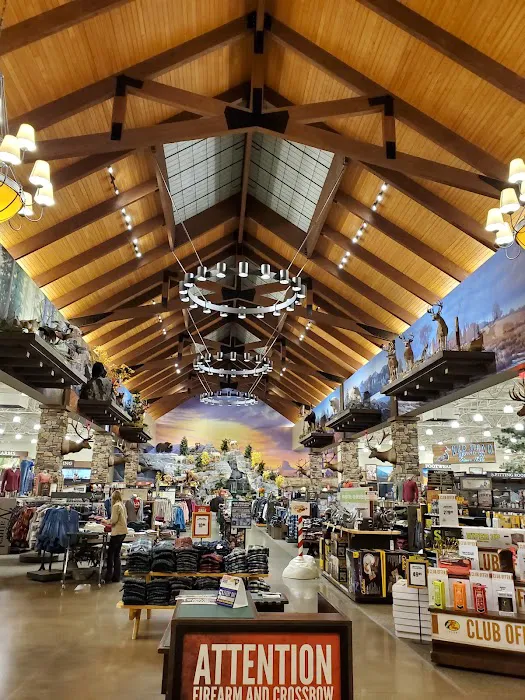 Bass Pro Shops 6