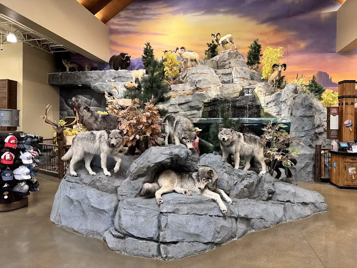 Bass Pro Shops 1