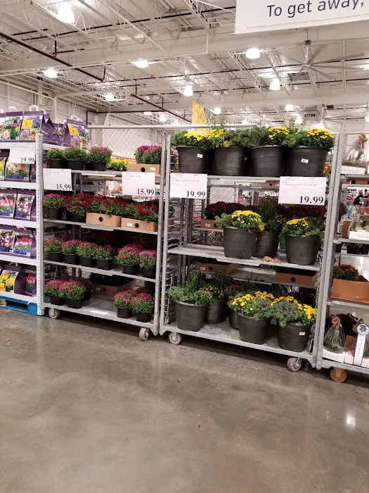 Costco Wholesale 8