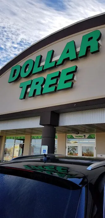 Dollar Tree 0