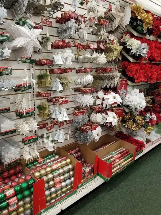Dollar Tree 7
