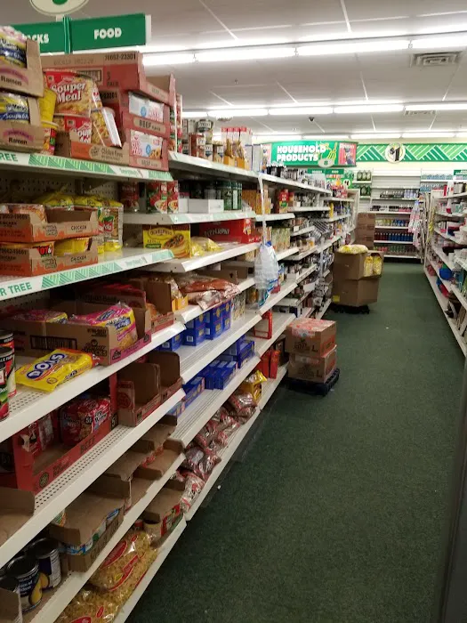 Dollar Tree 6
