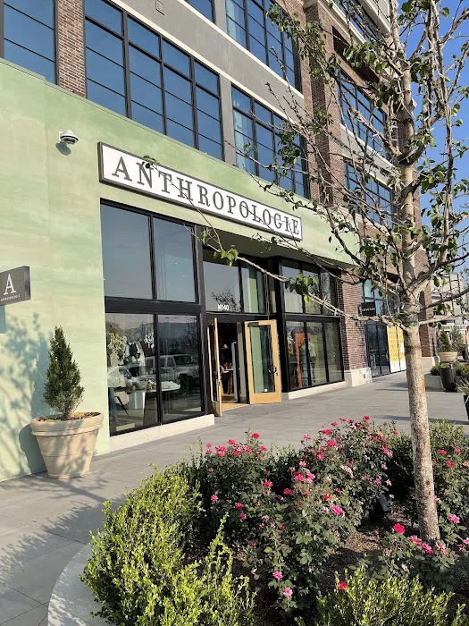 Anthropologie 2