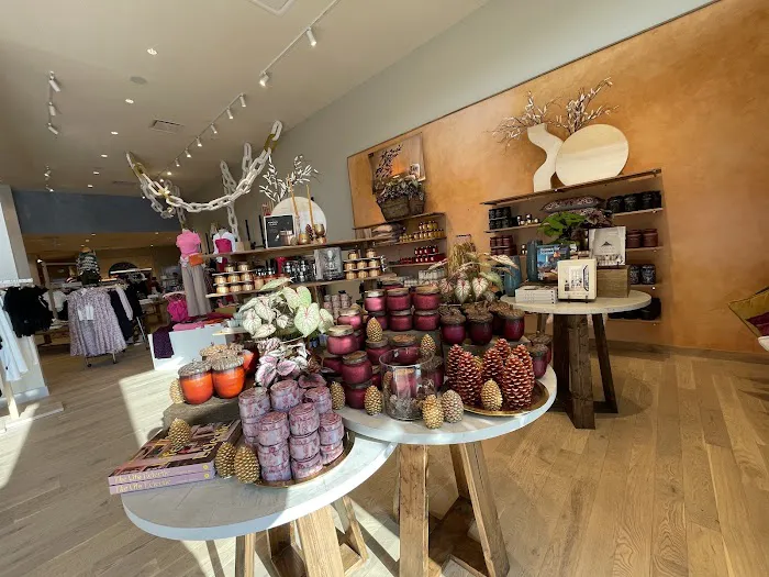 Anthropologie 3