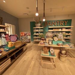 Anthropologie ico
