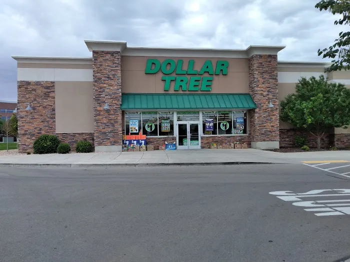 Dollar Tree 7