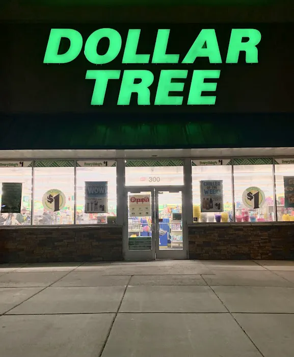 Dollar Tree 8