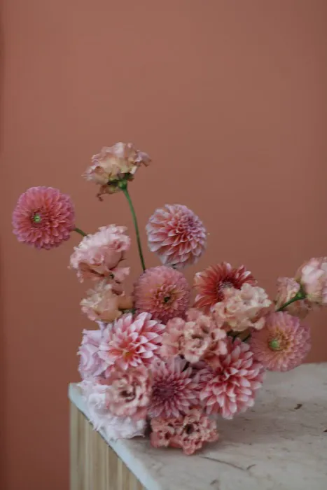 Bloomed Roots 6