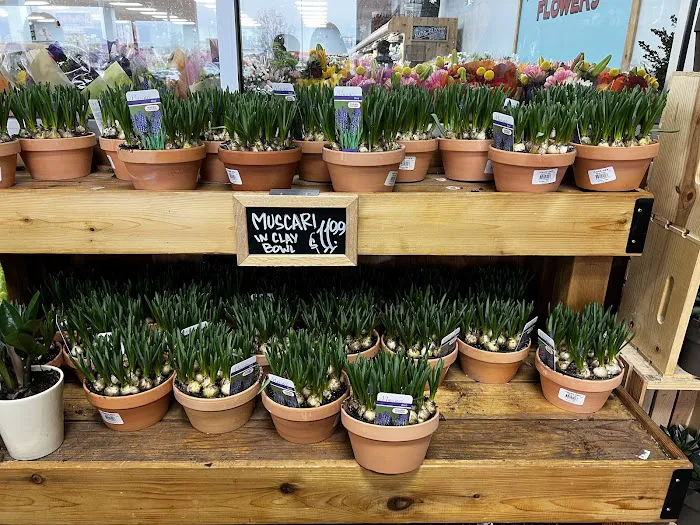Trader Joe's 8