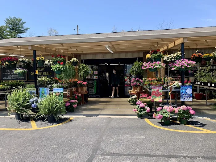 Paul's Fruit Market 4
