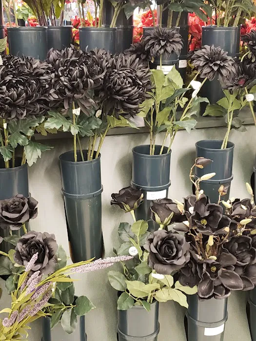 Hobby Lobby 4