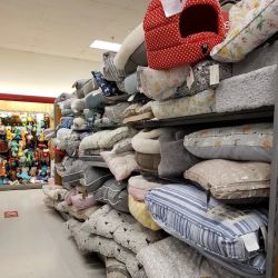 T.J. Maxx ico