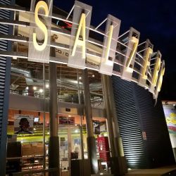 Salzer's Records ico