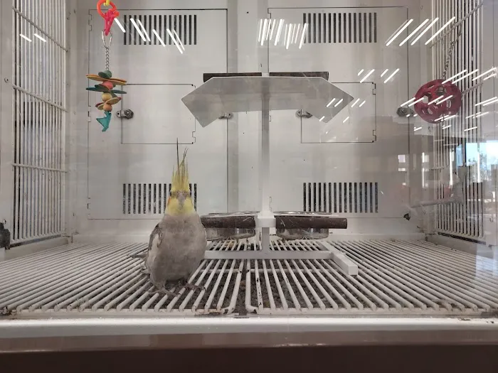 Petco 4